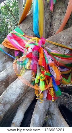 Big tree covered by powder and tied with multicolor fabrics faith of thai people