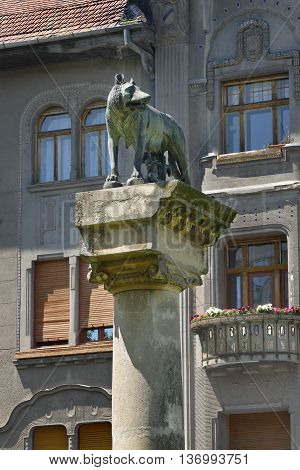 Timisoara, Romania Romulus And Remus Statue