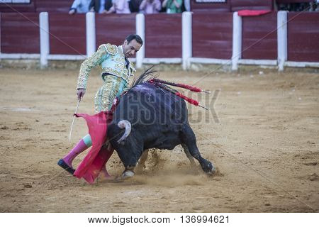Ubeda Spain - September 29 2010: The Spanish Bullfighter Daniel Luque bullfighting with the crutch in the Bullring of Ubeda Spain