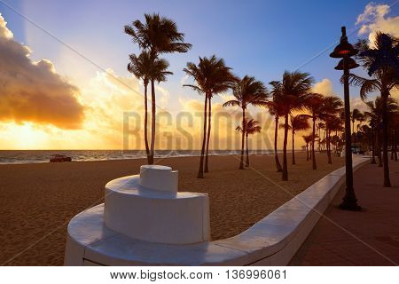 Fort Lauderdale beach morning sunrise in Florida USA palm trees