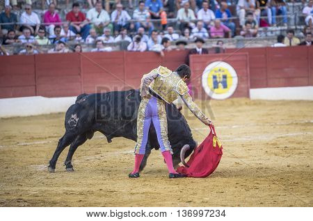Baeza Spain - August 15 2009: The Spanish Bullfighter Sebastian Castella bullfighting with the crutch in the Bullring of Andujar Spain