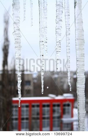 icicles
