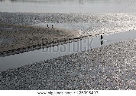CANNING TOWN, WEST BENGAL, INDIA - FEBRUARY 13: During low tide the water in the river Malta falls so low that people walk to the other shore in Canning Town, India on February 13, 2014.