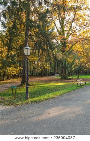 Park In Autumn