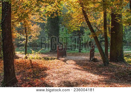 Park In Autumn