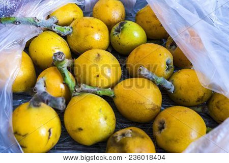 Mature Japanese Medlar, Spring Fruity, Japanese Medlar Japanese Medlar On Wooden Floor