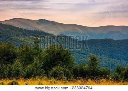 Forested Hills Of Carpathian Mountains In Summer. Apetska Mountain In The Distance