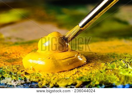 Close Up Of Artists Palette, Oil Paint