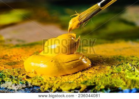 Close Up Of Artists Palette, Oil Paint
