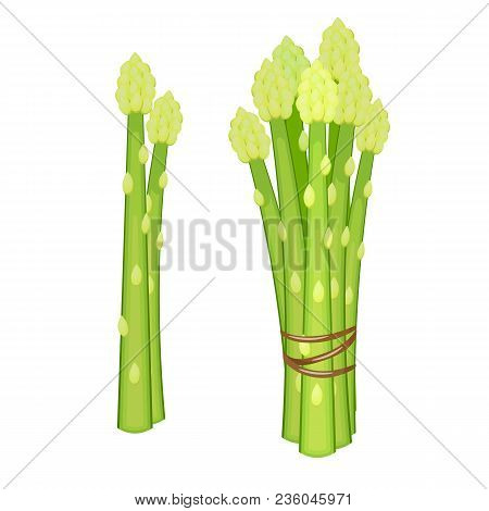 Green Asparagus, Butch Of Ripe Asparagus Sprout. Vegetarian Nutrition. Made In Cartoon Flat Style. V