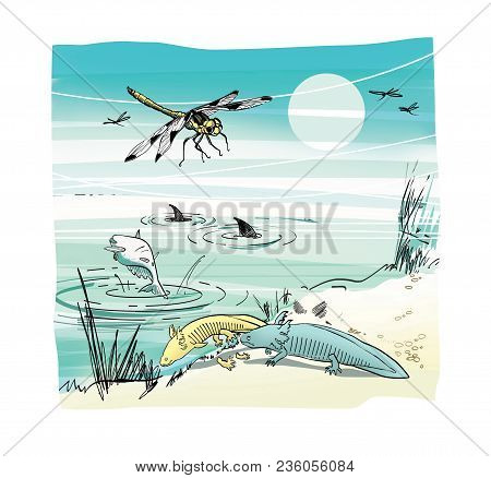 Dragonfly With Hotdog, Ambistomy Axolot And Dead Fish And Sharks On The Shore Of A Reservoir Under T