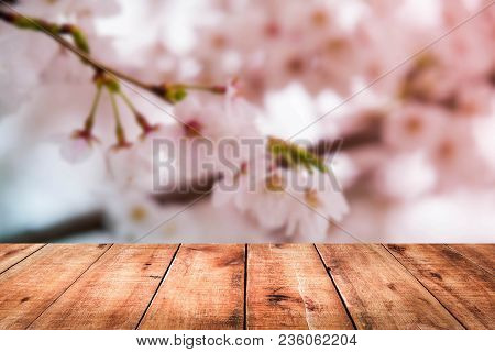 Image Of Wooden Table In Front Of Cherry Blossom Background