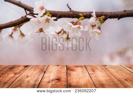 Image Of Wooden Table In Front Of Cherry Blossom Background