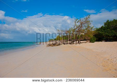 Holguin, Guardalavaca Beach, Cuba: Caribbean Sea With Beautiful Blue Water, Sand And A Fallen Tree. 