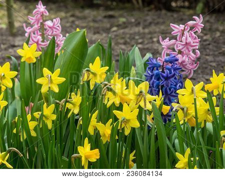 spring time in the german muensterland