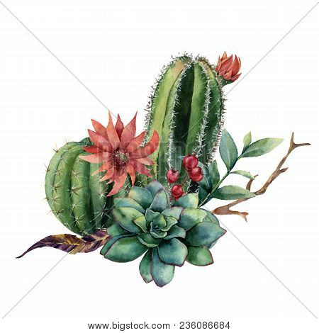 Watercolor Cactus Bouquet. Hand Painted Cereus With Red Flower, Green Succulent, Berries And Treebra