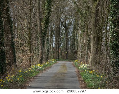 spring time in the german muensterland