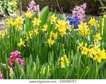 spring time in the german muensterland