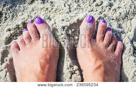 Feet And Toes In The Sand On A Beach