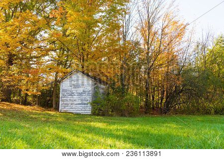 Old Country Shed