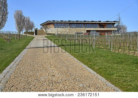 Popice, Czech Republic - 09 April, 2018: Blooming Fruit Trees On The Left Side Of Road. Vinary Prepa