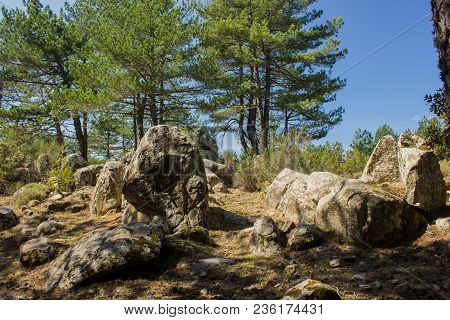 Mount Limbara (sardenia, Italy) - National Park View