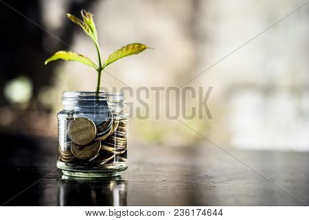 A Glass Jar Full Of Coins And Plant Growing Through It.  Concept Of Savings, Interest,  Fixed Deposi