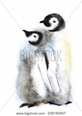 Cute Penguin Family. Wild Polar Animal Isolated On White Background. Winter Artic Character. Baby Wi