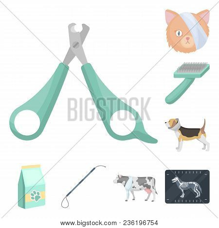 Veterinary Clinic Cartoon Icons In Set Collection For Design. Treatment Of A Pet Vector Symbol Stock