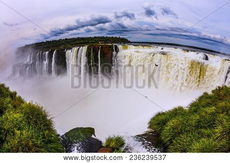 The rainy season. Devil's Throat is the most grandiose part of the Iguazu Falls. Andean condors fly above the roaring water. Concept of active and photographic tourism
