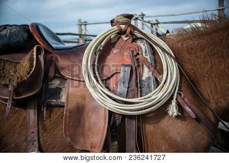 Sorrel Horse Saddled Up With Lariat Rope, Saddlebags And Ready To Ride