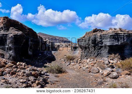Spanish View Landscape In Lanzarote Tropical Volcanic Canary Islands Spain