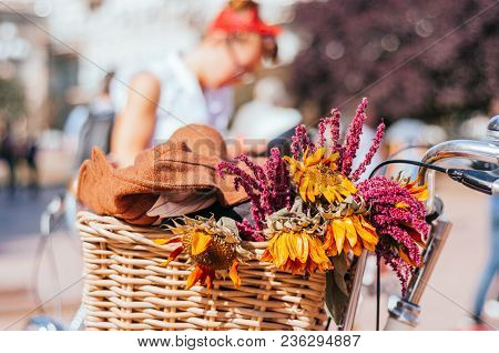 Beautiful Autumn Dried Sunflowers And Violet Wildflowers In A Wicker Bicycle Basket. Retro Pin Up Gi