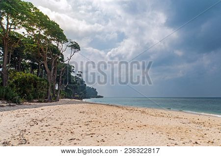 Stunning View Of Jolly Buoy Beach, A Beautiful Tree Lying On The Beach, Andaman Nicobar Islands. Sto