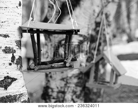 Birdhouse On Birch Tree. Nesting Box On A Tree In A Park, Spring.