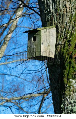 Holubník proti Blue Spring Sky