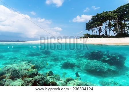 Over And Under Sea Surface Split Image Near A Tropical Island With Sandy Beach And Colorful Marine L