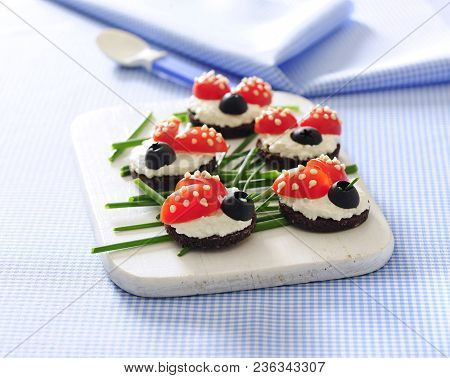 Fancy Ladybird Shaped Cheese Little Sandwiches Tartines For Kids.