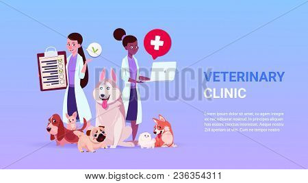 Veterinary Clinic Poster With Female Doctors Ver And Group Of Dogs Over Template Background Flat Vec