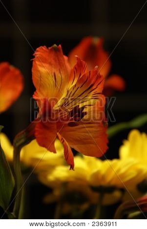 花