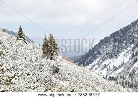Snow-covered Mountains In Bulgaria, Mount Musala, Rila Mountain Range. Ski Resort Borovets