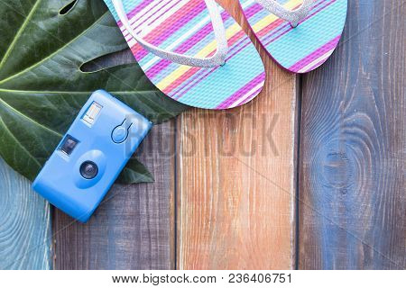 Vacation Concept. A Camera And Colorful Slippers On A Colored Wooden Background With A Palm Leaf