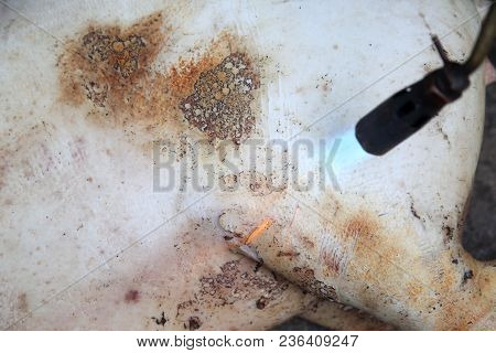Burned Hair Cleaning On A Slaughter Pig In A Rural Area