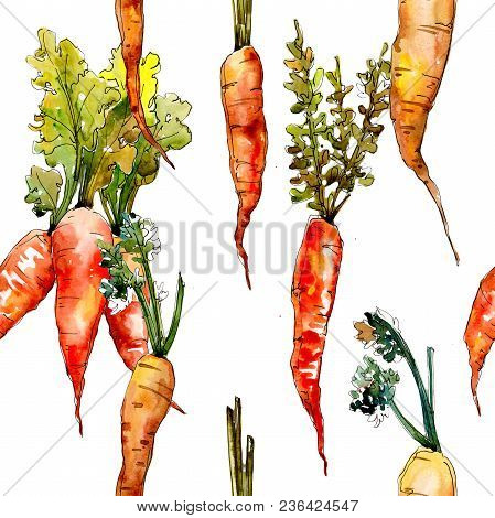 Carrot Healthy Food In A Watercolor Style Pattern. Full Name Of The Vegetables: Carrot. Aquarelle Wi