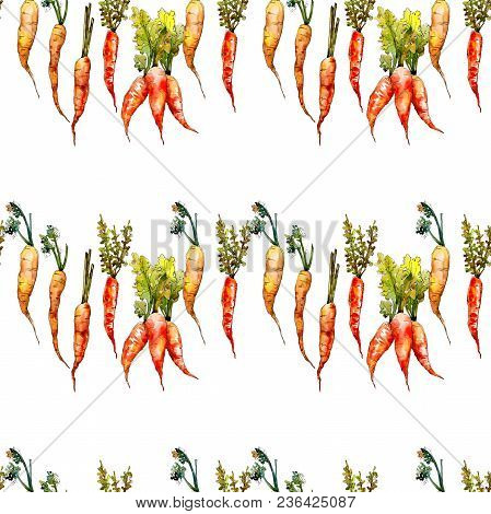 Carrot Healthy Food In A Watercolor Style Pattern. Full Name Of The Vegetables: Carrot. Aquarelle Wi