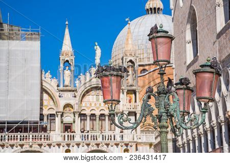 Gorgeous Street Lamps In Venice With Many Pigeons Sitting On Them With The Cathedral And A Blue Sky 