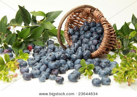 Blueberries