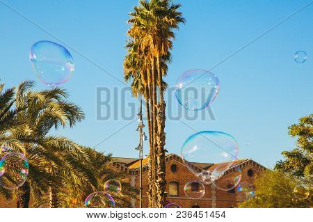 Palm Trees With Beautiful Sun Flare In The Background In Barcelona, Spain