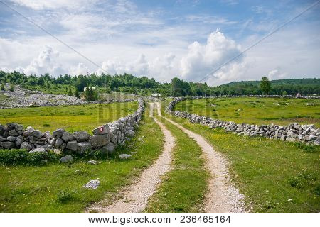 The Rural Road Leads To Small Houses.