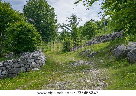 The Rural Road Leads To Small Houses.